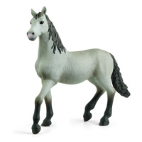 Zvířátko - hříbě andaluského koně