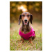 Vsepropejska Flou letní tričko pro psa Barva: Růžová, Délka zad (cm): 30, Obvod hrudníku: 42 - 4
