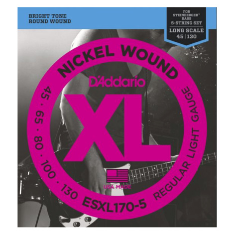 D'Addario ESXL170-5