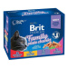 Kapsičky BRIT Premium Cat Family Plate 1200 g