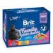 Brit Premium Cat Kapsa Family Plate 1200g (12x100g)