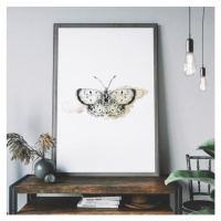 Bílý plakát s motivem motýla