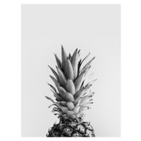 Ilustrace pineappleblackandwhite, Finlay & Noa, 30 × 40 cm