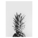 Ilustrace pineappleblackandwhite, Finlay & Noa, 30 × 40 cm