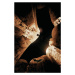 Plakát, Obraz - The Dark Knight Trilogy - Bat Wings, (61 x 91.5 cm)