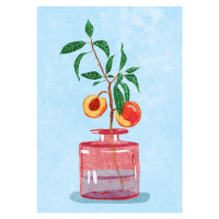 Ilustrace Peach Tree in Vase, Raissa Oltmanns, 30x40 cm