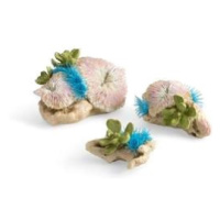 biOrb plate corals & button polyp set