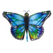 Drak - modrý motýl