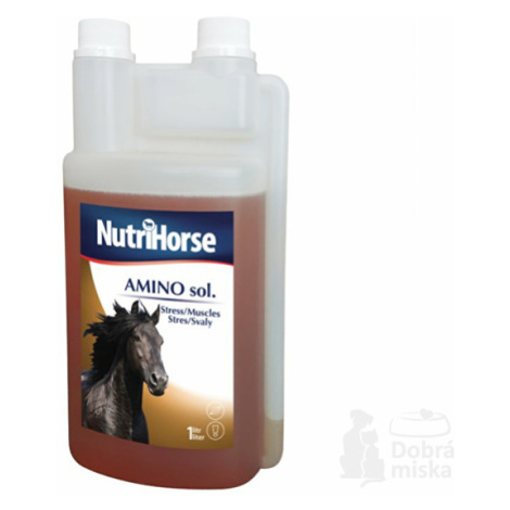 Nutri Horse Aminosol sol 1000ml Biofaktory