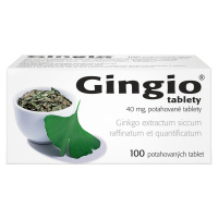 Gingio 40 mg, 100 tablet