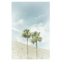 Fotografie Palm Trees in the desert | Vintage, Melanie Viola, 26.7 × 40 cm