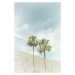 Fotografie Palm Trees in the desert | Vintage, Melanie Viola, 26.7 × 40 cm