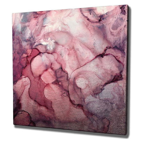 Nástěnný obraz na plátně Pink Dream, 45 x 45 cm Vega
