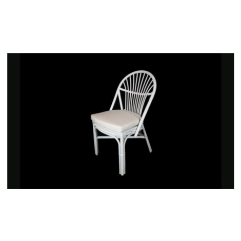 Ratanová jídelní židle BALI - bílý ratan FOR LIVING
