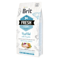 BRIT Fresh Fish with Pumpkin Adult Large Muscles & Joints granule pro psy 1 ks, Hmotnost balení: