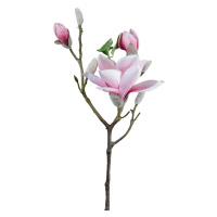 Umělá Rostlina Magnolie, V: 69cm