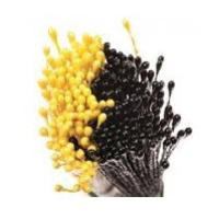 Decora květinové pestíky - střední - perleťové tm.žluté / černé  288ks