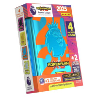 Panini PREMIER LEAGUE 2024 / 2025 ADRENALYN pocket tin