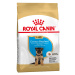 Royal Canin German Shepherd Puppy - Výhodné balení 2 x 12 kg