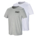 PARKSIDE® Pánské triko, 2 kusy (adult#male#ne, L (52/54), bílá/šedá)