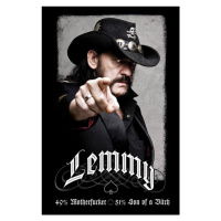 Plakát, Obraz - Lemmy - 49% mofo, 61x91.5 cm