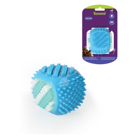 Denta Cube 8cm Tommi