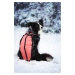 Vsepropejska Mansi zimní bunda pro psa s postrojem Barva: Modrá, Délka zad (cm): 48, Obvod hrudn