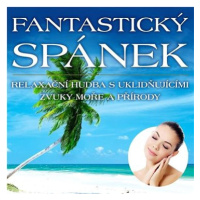 Various: Fantastický spánek - CD