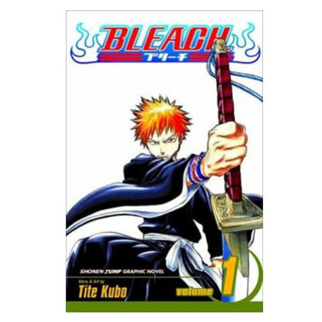 Bleach 1: The Death and the Strawberry