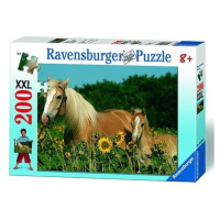 Ravensburger 12628 puzzle koně na louce xxl 200 dílků