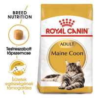 Royal Canin Maine Coon Adult - granule pro dospělé mainské mývalí kočky 2 kg