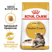 Royal Canin Maine Coon Adult - granule pro dospělé mainské mývalí kočky 2 kg