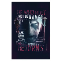 Umělecký tisk Harry Potter - He returns, 26.7 × 40 cm