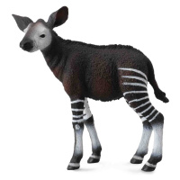 Collecta okapi mládě