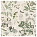 Dekornik Tapeta zelené botanické příběhy 280x100 cm
