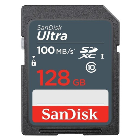 SanDisk SDSDUNR-128G-GN3IN Šedá