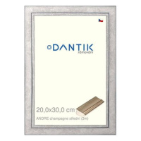 DANTIK rámeček 20 × 30, ANDRE champagne střední sklo čiré