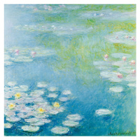 Obrazová reprodukce Nympheas at Giverny (1908), Claude Monet, 40 × 40 cm