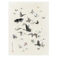 Obrazová reprodukce Butterflies & Moths (1 of 2) - Katsushika Hokusai, 30 × 40 cm