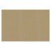Balta koberce Metrážový koberec Fortesse SDE New 138, zátěžový - Kruh s obšitím cm