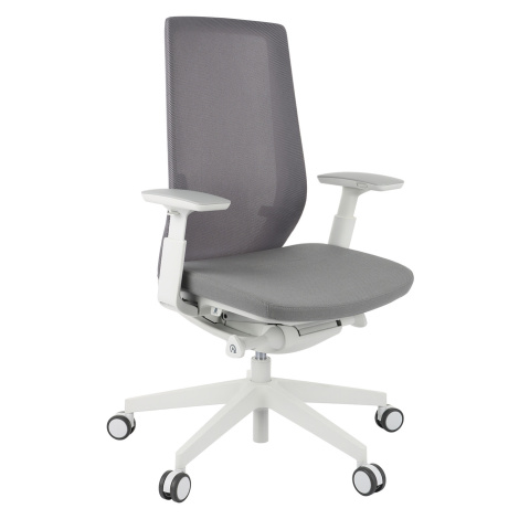 Kancelářská židle Accis Pro 150SFL typ B světle šedá - expedice do 48 h Profim