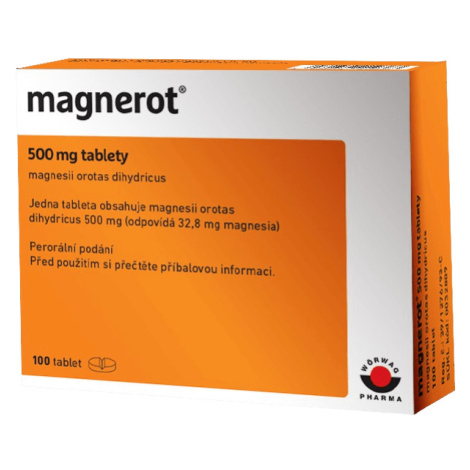Magnerot ® 100 tablet