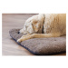 Petlando Chillermat polštářek pro psy, barva kapučína M 80 × 55 ×5 cm