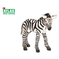 B - Figurka Zebra hříbě 7cm, Atlas, W101820