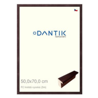 DANTIK rámeček 50 × 70, FC hnědý vysoký plexi čiré