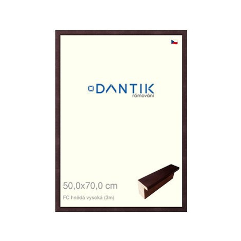 DANTIK rámeček 50 × 70, FC hnědý vysoký plexi čiré