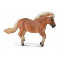 COLLECTA Shetlandský pony - ryzák