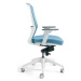 Kancelářská ergonomická židle BESTUHL J17 WHITE — více barev Černá