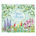 The Wild Garden Rub-Down Transfer Book - Felicity Brooks, Bethan Janine (ilustrátor) - kniha z k