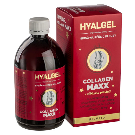 Hyalgel Collagen MAXX višeň vánoční balení 500 ml